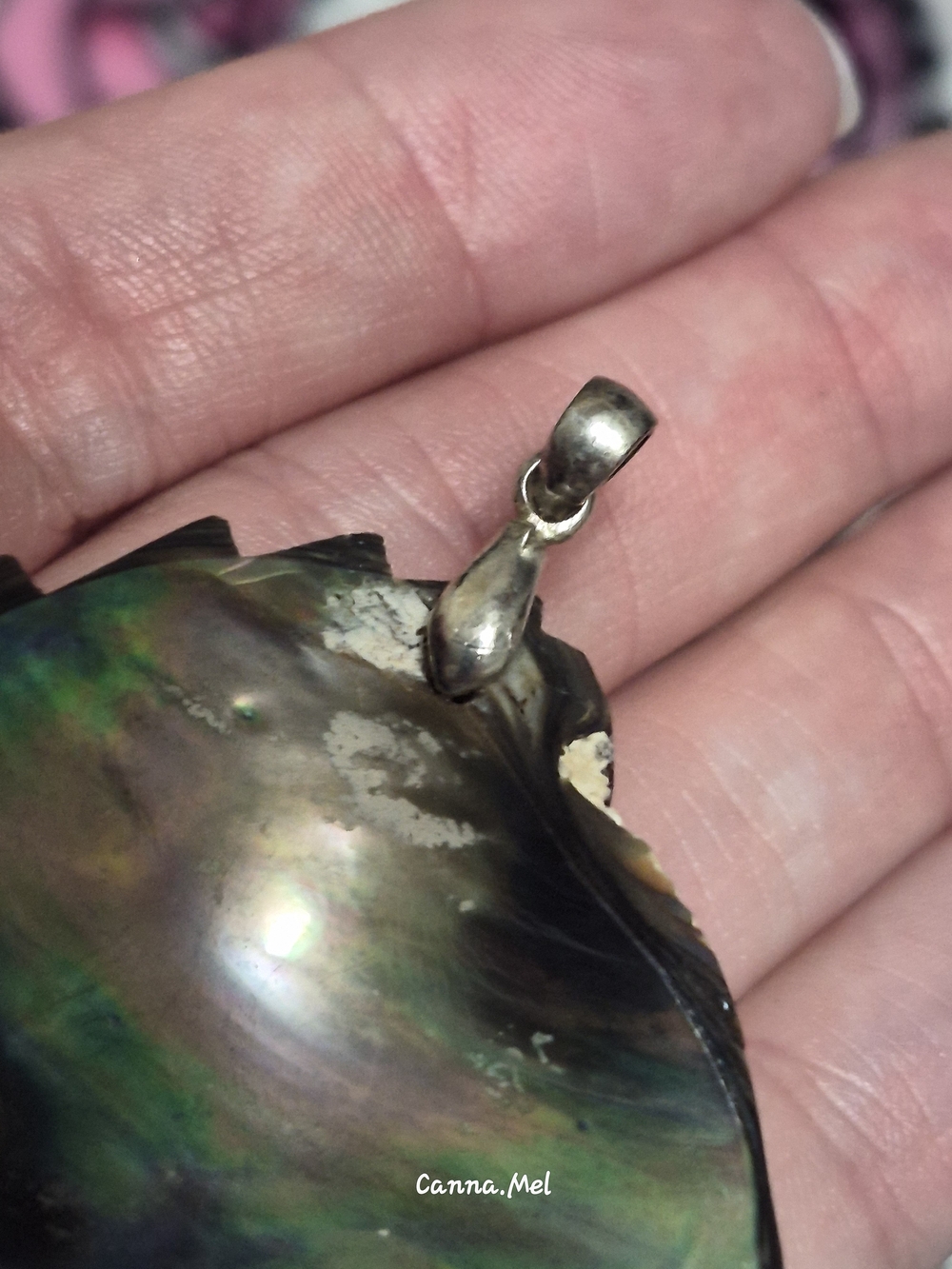 Abalone Shell Pendant - Picture 4 of 4